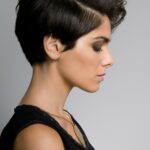 shorthair - Luxury En Vogue