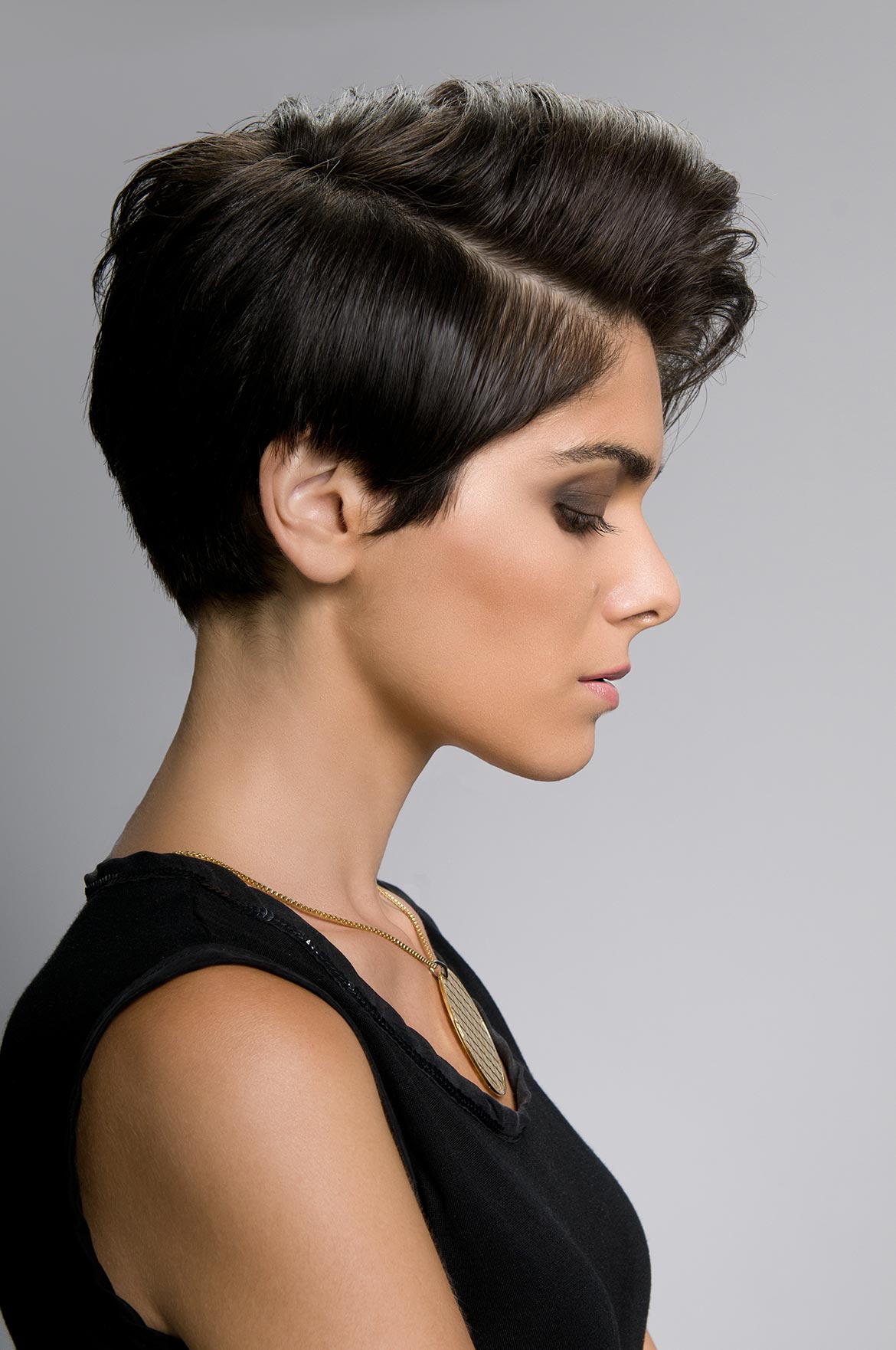 shorthair - Luxury En Vogue